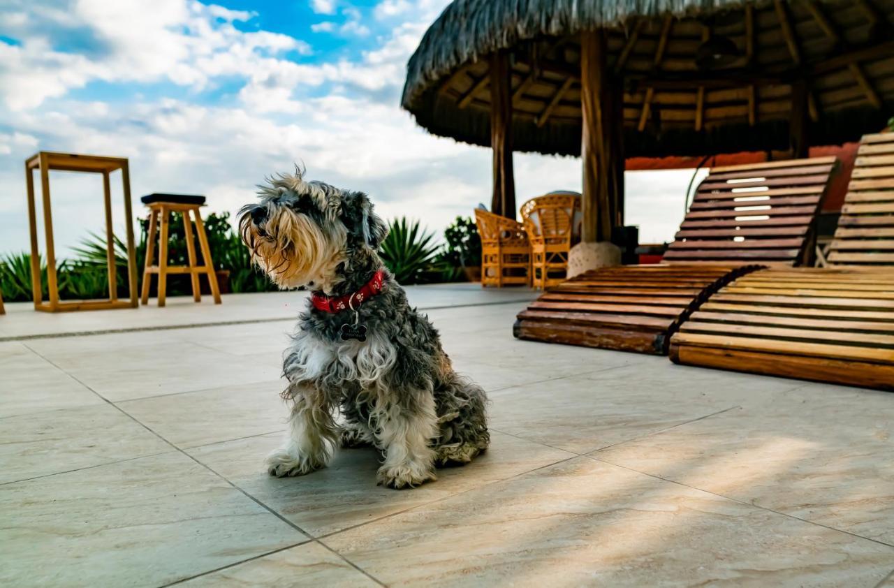 Hotel Boutique Playa Canela Ecuador サリナス エクステリア 写真